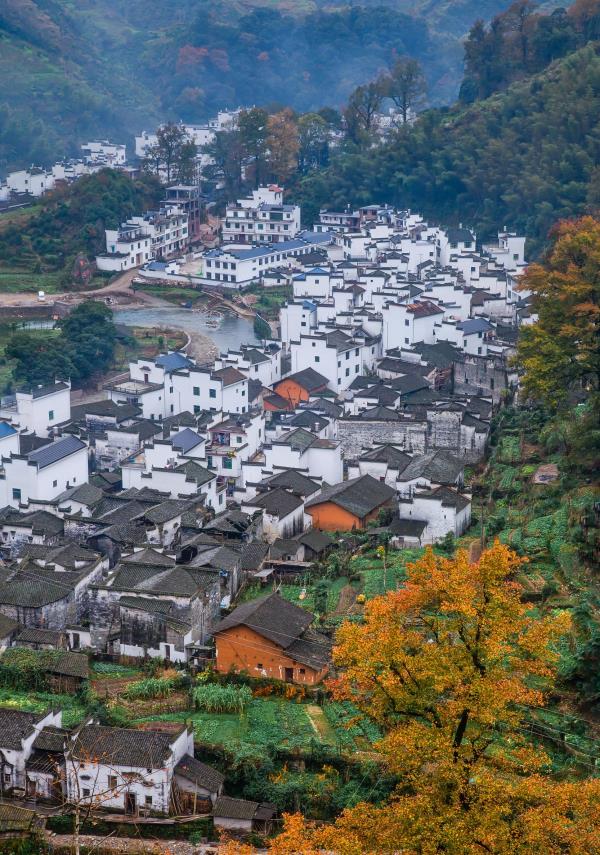 长溪村