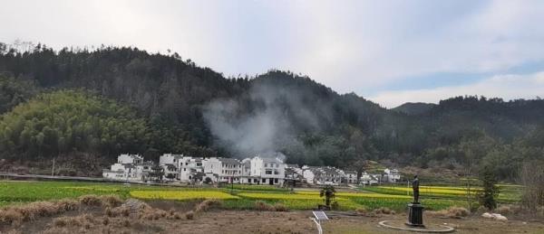 理坑