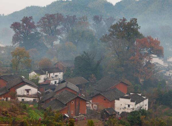 石城红枫叶景区