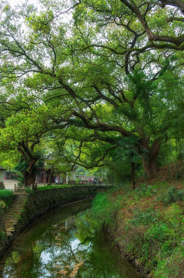 凤凰山景区
