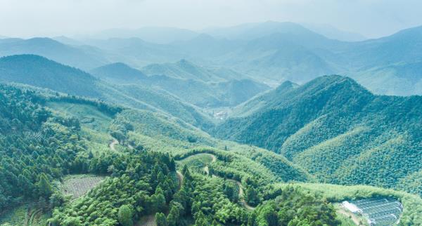 华顶国家森林公园