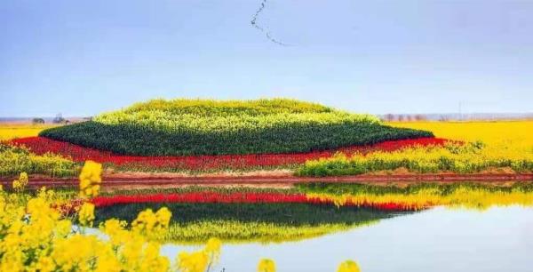 高邮・湖上花海