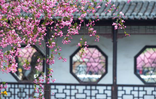 莫愁湖景区