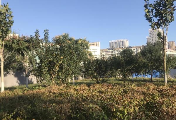 上饶步行街