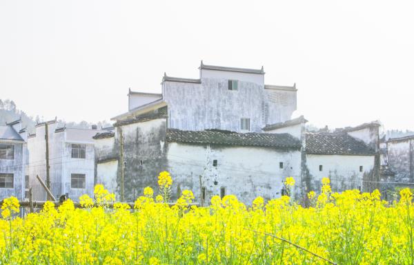 思溪延村