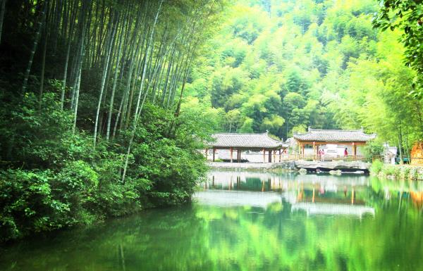木坑竹海