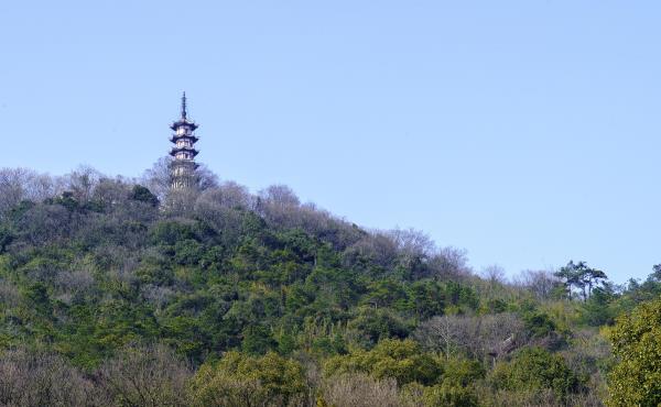 道场山
