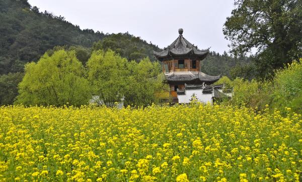李坑景区