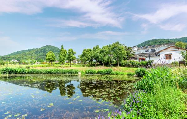 不老村