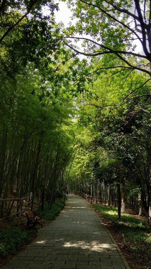 齐山植物公园