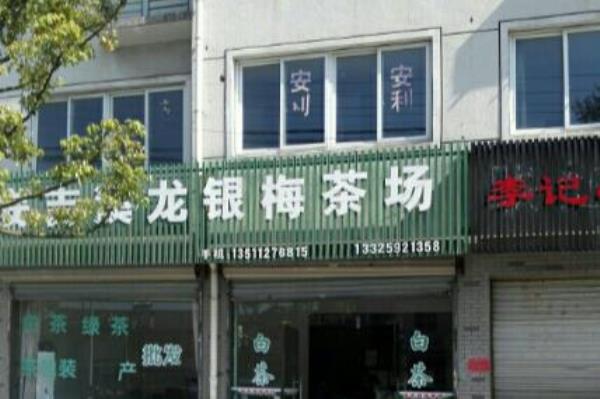 银梅茶场