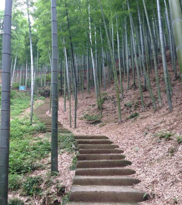 竹什坞