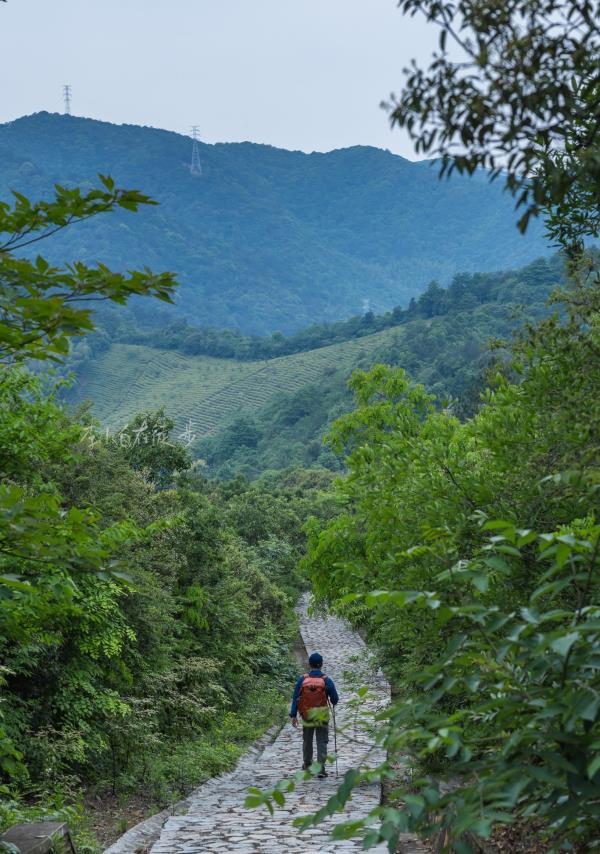龙山绿道
