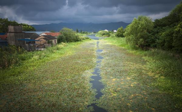长田漾湿地