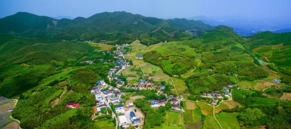 妙山村
