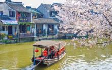 西塘风景区11