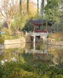 和平公园23