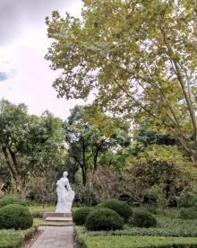 和平公园28