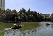 和平公园38