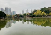 和平公园17