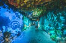 鹏新嘉定海洋世界29