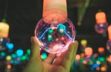 鹏新嘉定海洋世界26