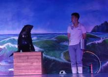 鹏新嘉定海洋世界11