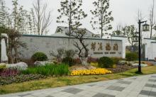 莘庄梅园6