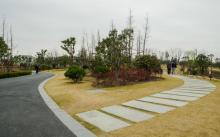 莘庄梅园7