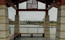莘庄梅园9