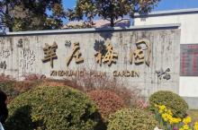 莘庄梅园37