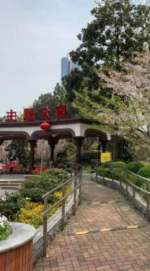 霍山公园17