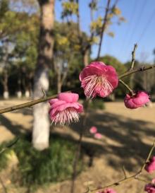 张江当代艺术馆11