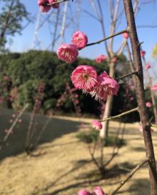 张江当代艺术馆13
