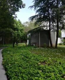 张江当代艺术馆14