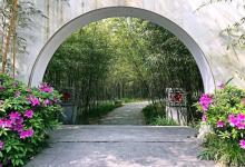 亩中山水园24