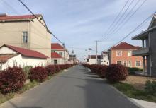 横沙岛11