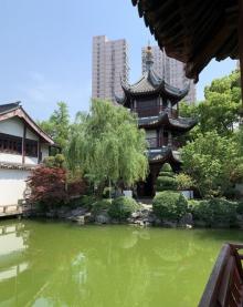 上海文庙19