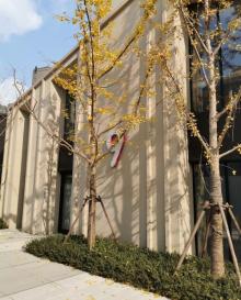 三邻桥体育文化园4