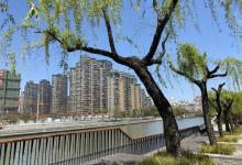 苏州河景观步廊1