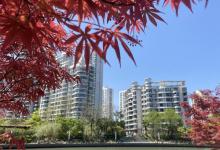 苏州河景观步廊3