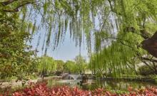 彭浦公园5