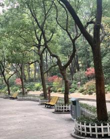普陀公园4