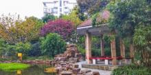 普陀公园8