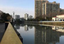 普陀公园12