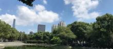 太平桥公园2