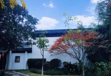 州桥老街37