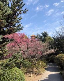 七宝教寺12