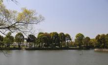 闻道园21