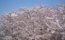 龙美术馆西岸馆30